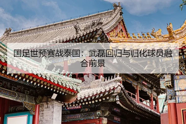 guo-zu-shi-yu-sai-zhan-tai-guo-wu-lei-hui-gui-yu-gui-hua-qiu-yuan-rong-he-qian-jing-2-859.jpg