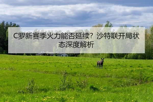 C罗新赛季火力能否延续？沙特联开局状态深度解析