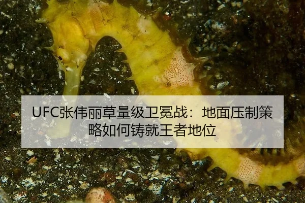 UFC张伟丽草量级卫冕战：地面压制策略如何铸就王者地位