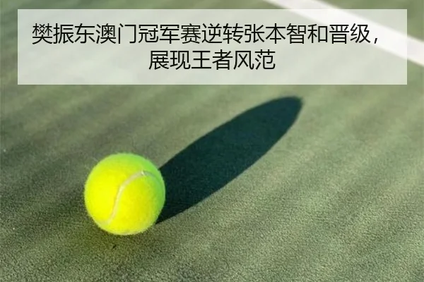 樊振东澳门冠军赛逆转张本智和晋级，展现王者风范