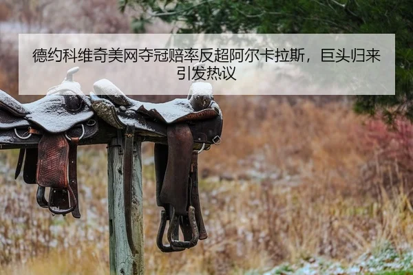 德约科维奇美网夺冠赔率反超阿尔卡拉斯，巨头归来引发热议