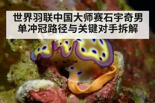 世界羽联中国大师赛石宇奇男单冲冠路径与关键对手拆解